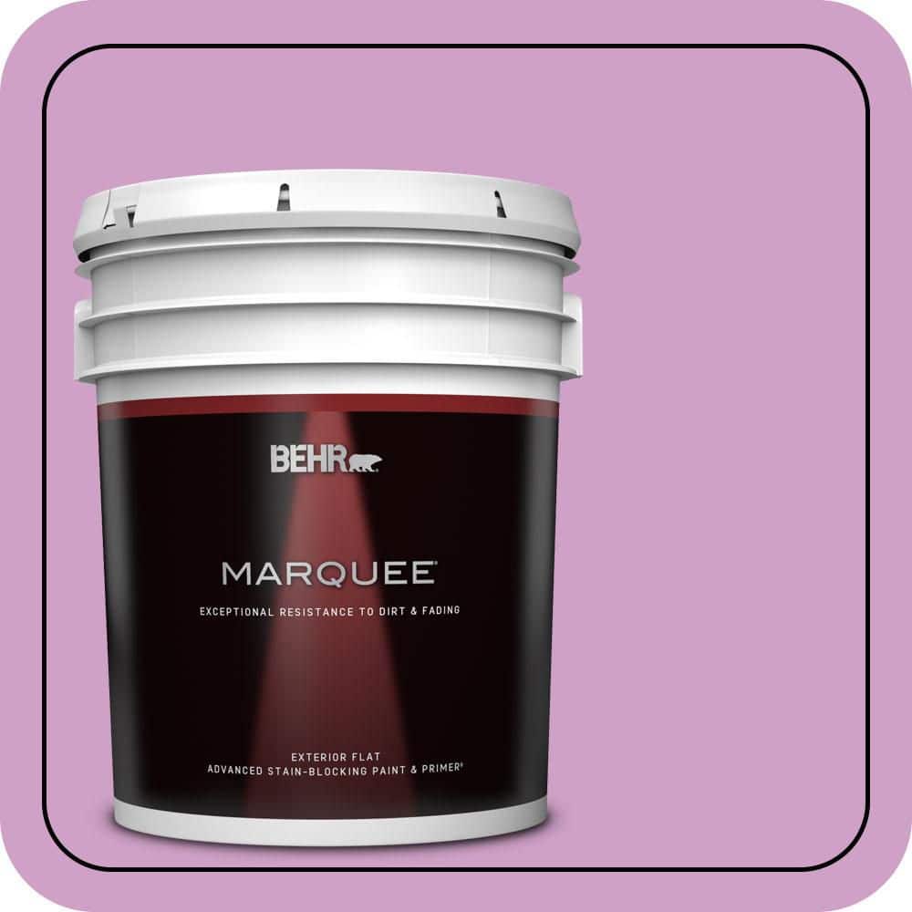 5 gal. #670B-4 Geranium Bud Flat Exterior Paint & Primer price history on PriceWatchPro