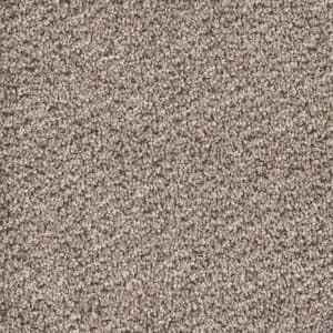 Gilbert Park I - Salt Box - Beige 48 oz. Polyester Texture Installed Carpet
