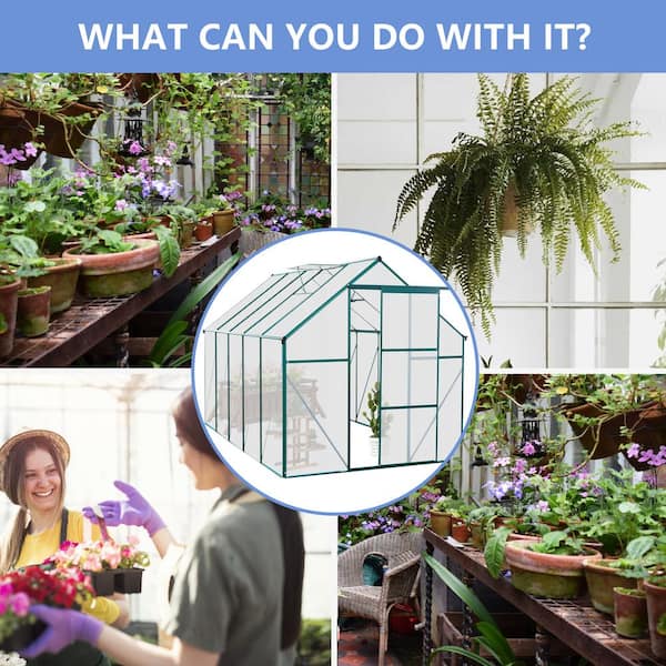 6 ft. W x 10 ft. D Aluminum Polycarbonate Walk-in Greenhouse