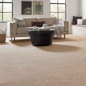 Hanville  - Explorer - Brown 27 oz. SD Polyester Loop Installed Carpet