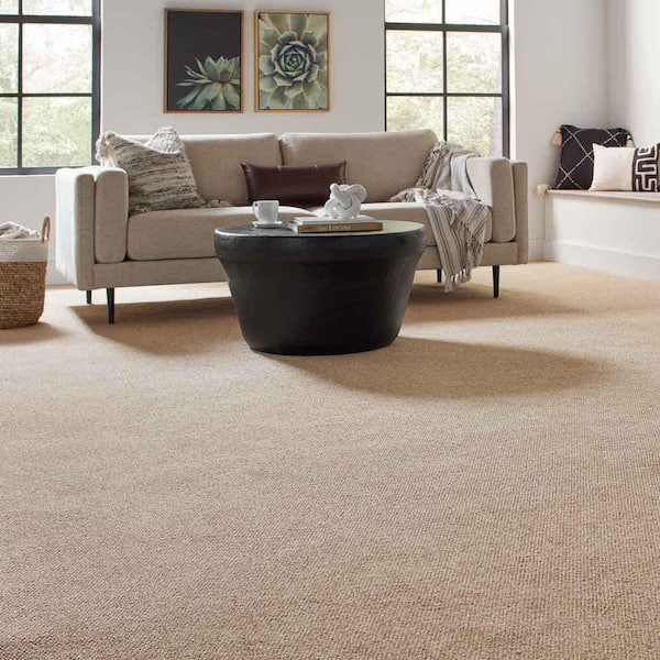 Hanville - Explorer - Brown 27 oz. SD Polyester Loop Carpet - Installation Required
