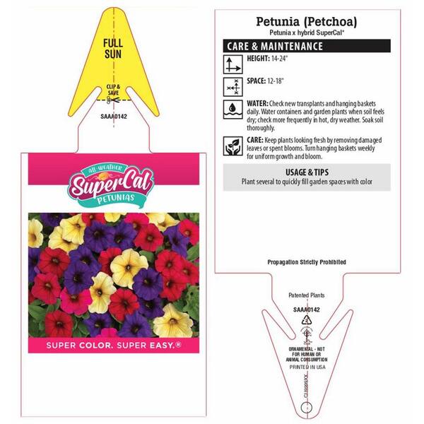SUPERCAL 2.6 qt. Early Spring SuperCal Petunia Drop N Decorate