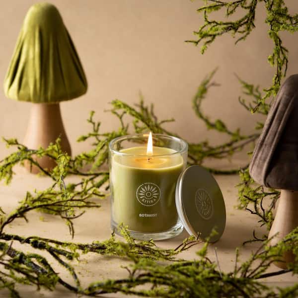 Vance Kitira Botanist Pear and Citrus Scented Single Wick Green Jar Candle, 60-Hour Burn Time