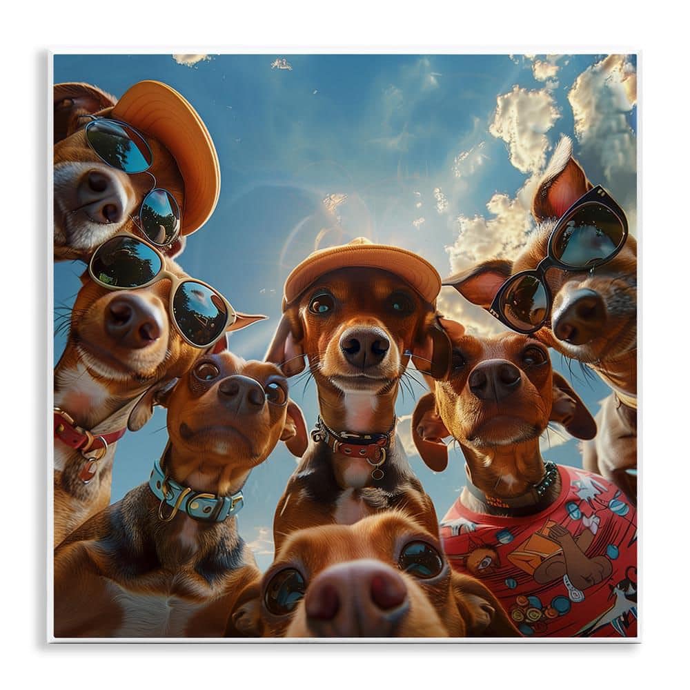 Stupell Industries Funny Wiener Dog Selfie by Jim Baldwin Unframed