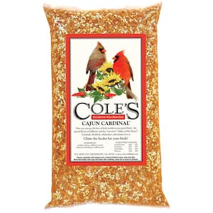 20 lb. Cajun Cardinal Assorted Species Sunflower Meats Wild Bird Seed Food