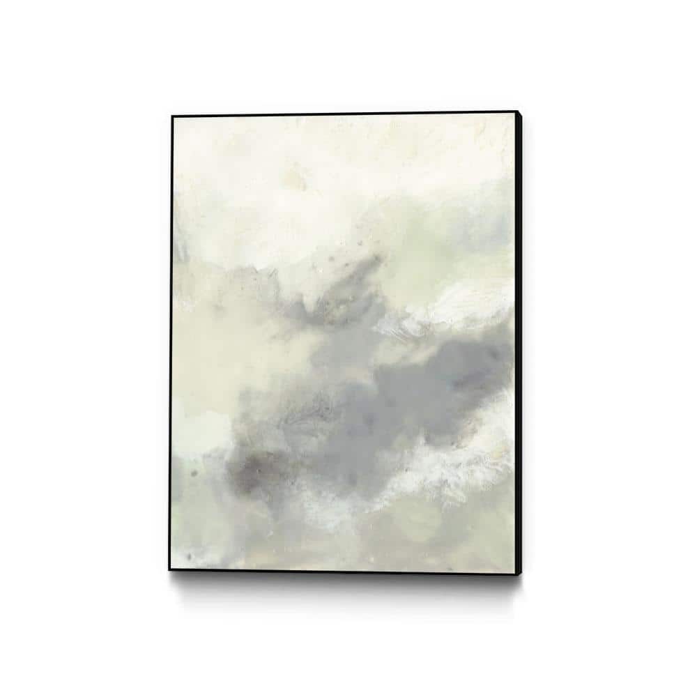 30 in. x 40 in. Cloud Impressions II by Jennifer Goldberger Framed Wal