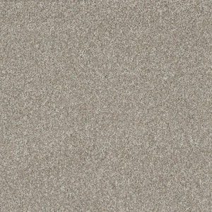 Classic Comfort - Trenton - White 45 oz. SD Polyester Texture Installed Carpet