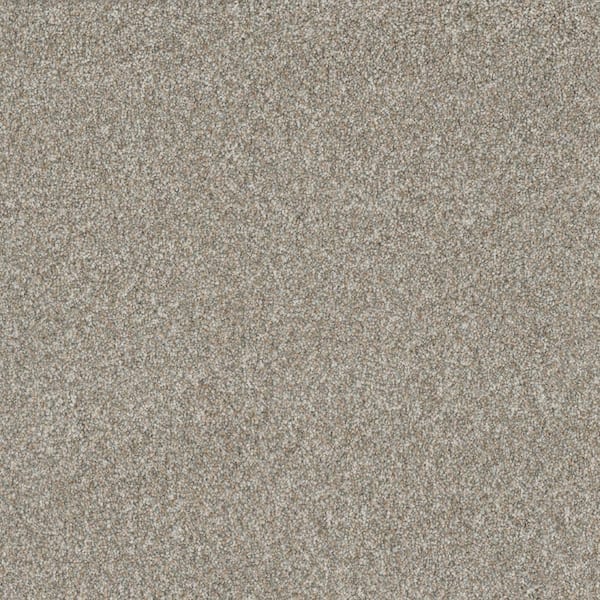 Lifeproof Classic Comfort - Trenton White - 45 oz. SD Polyester Texture Installed Carpet