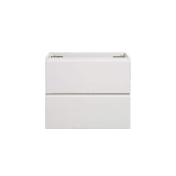 Unbranded 23.7 in. W x 17.9 in. D x 20.5 in. H Wall Mount Wood Bath Vanity Cabinet without Top in White with 2-Drawers