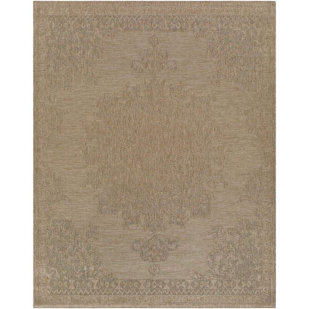 Sandra Brown Traditional 8 ft. x 10 ft. Indoor/Outdoor Area Rug price history on PriceWatchPro