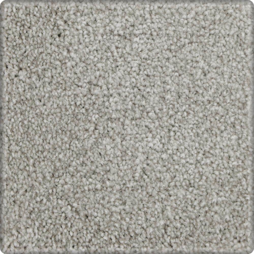 8 in. x 8 in. Texture Carpet Sample - Denfort - Color Cloudy Day price history on PriceWatchPro
