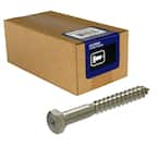 3/8 in. x 4 in. Hex Stainless Steel Lag Screw (5-Pack)