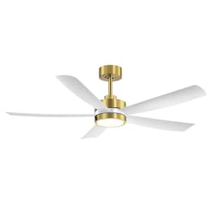 Blaine 52 in. Integrated LED Indoor White and Gold Ceiling Fan with Light and Remote Control Included