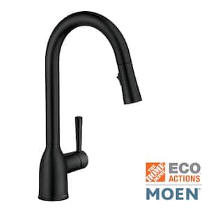 Adler Single-Handle Pull-Down Sprayer Kitchen Faucet with Reflex and Power Clean in Matte Black