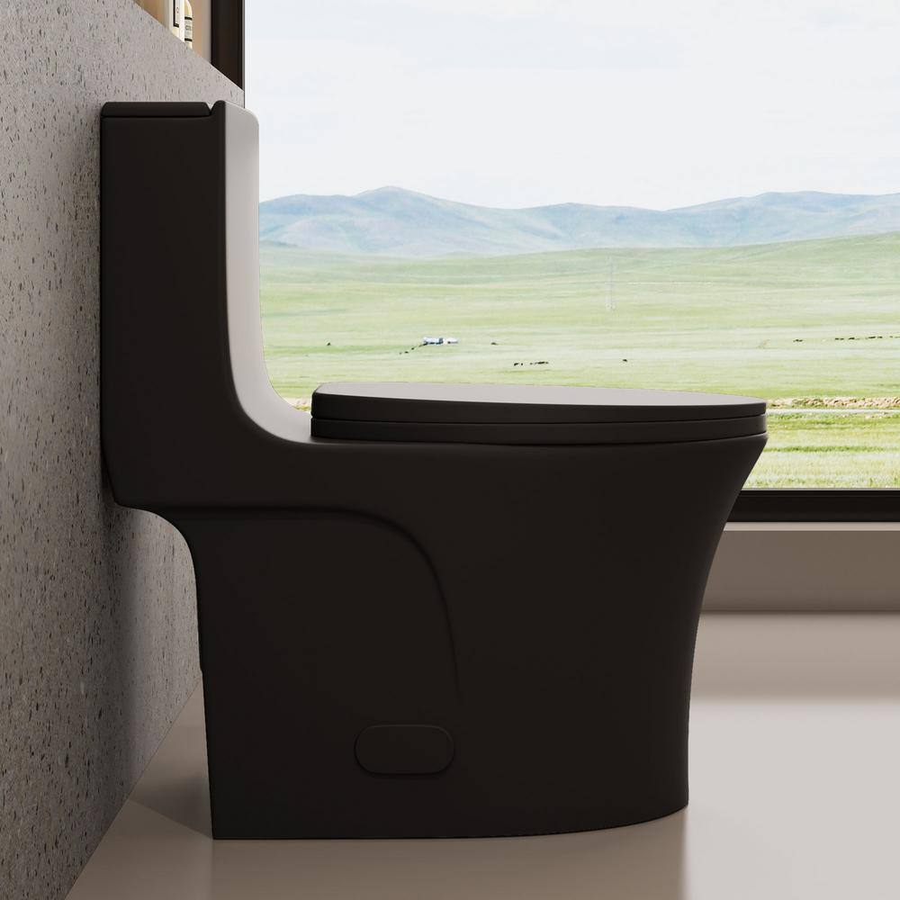 Matte Black Ceramic One-Piece Dual Flush Elongated Toilet