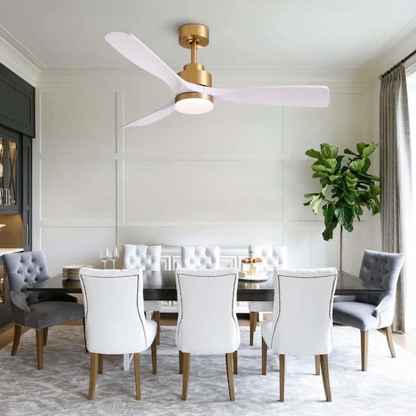 gっfy Pacific Core 52 in. Standard Downrod Mount Indoor White and Gold 3