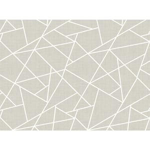 Dove Grey Novelty Modern Lines White On Wall Mural