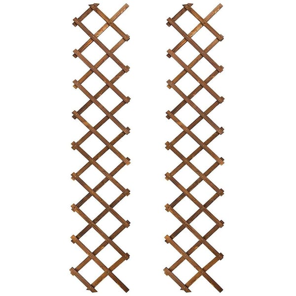 67 Inch Wood Expandable Lattice Trellis 2 Pack Vertical Garden Rack for Climbing Plants Indoor Outdoor Decor