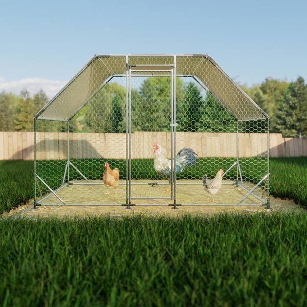 GOGEXX 9.94 ft x 6.46 ft Flat Large Metal Walk-in Chicken Coop Galvanized Poultry Cages with Waterproof Cover Outdoors