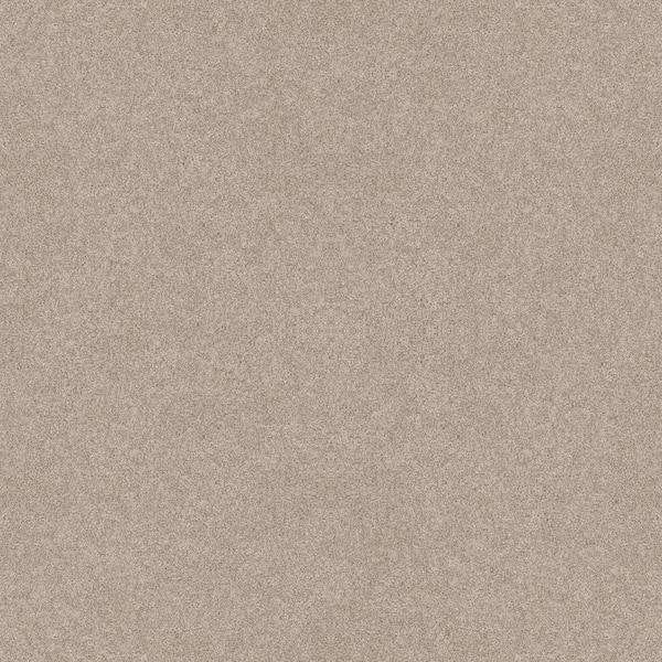 Lifeproof Coastal Charm I - Color Lush Brown 42 oz. Nylon Texture Installed Carpet