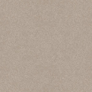 Coastal Charm II Color Lush Brown 56 oz. Nylon Texture Installed Carpet