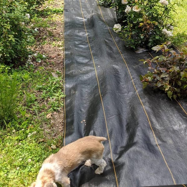 3 ft. x 300 ft. Weed Barrier Landscape Fabric with U-Shaped Securing Pegs, Heavy-Duty Block Gardening Mat Weed Control