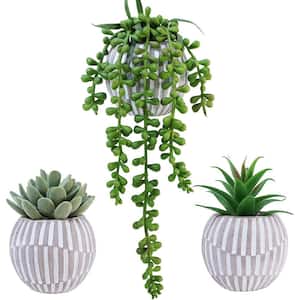 11 in. Artificial Succulent Aloe Plants in Pots, Decor Fake Potted Plant, White