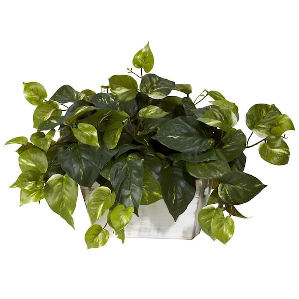 Natural Touch Pothos Artificial Plant - 48