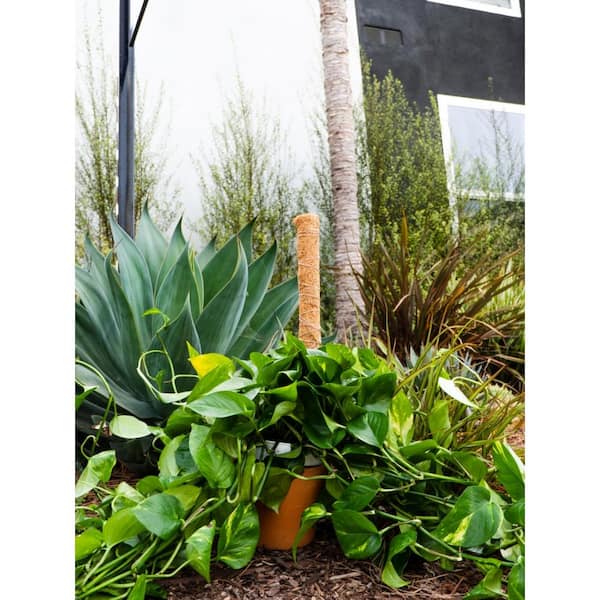 Envelor 24 in. Coco Moss Totem Pole (4-Pack) EN-CP-2FT-4-1