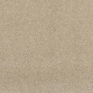 Home Decorators Collection 8 in. x 8 in. Texture Carpet Sample ...