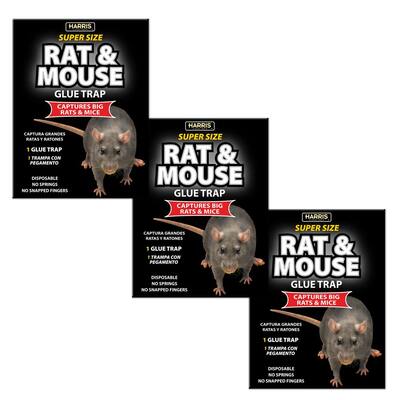 Rat and Mouse Glue Trap Super-Size with Lure (3-Pack)