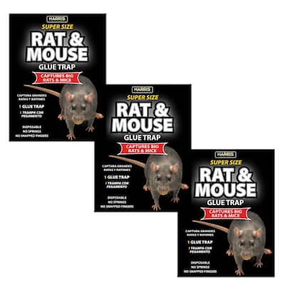 PIC Baited Rat and Mice Glue Traps (24-Pack) GT-2-H - The Home Depot