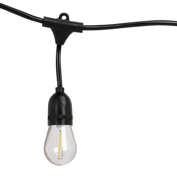 24-Light 48 ft. Indoor/Outdoor Plug-In Filament LED S14 Edison Bulb String Light