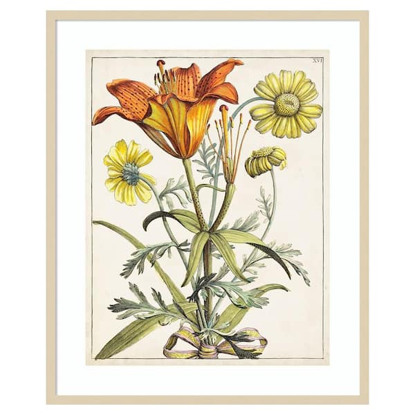 Amanti Art Dutch Florals V 31 in. W x 38 in. H. Wood Framed Wall Art Print Framed in Brown