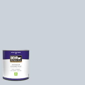 1 qt. #N480-1 Light Drizzle Ceiling Flat Interior Paint