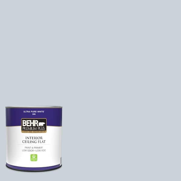 1 qt. #N480-1 Light Drizzle Ceiling Flat Interior Paint
