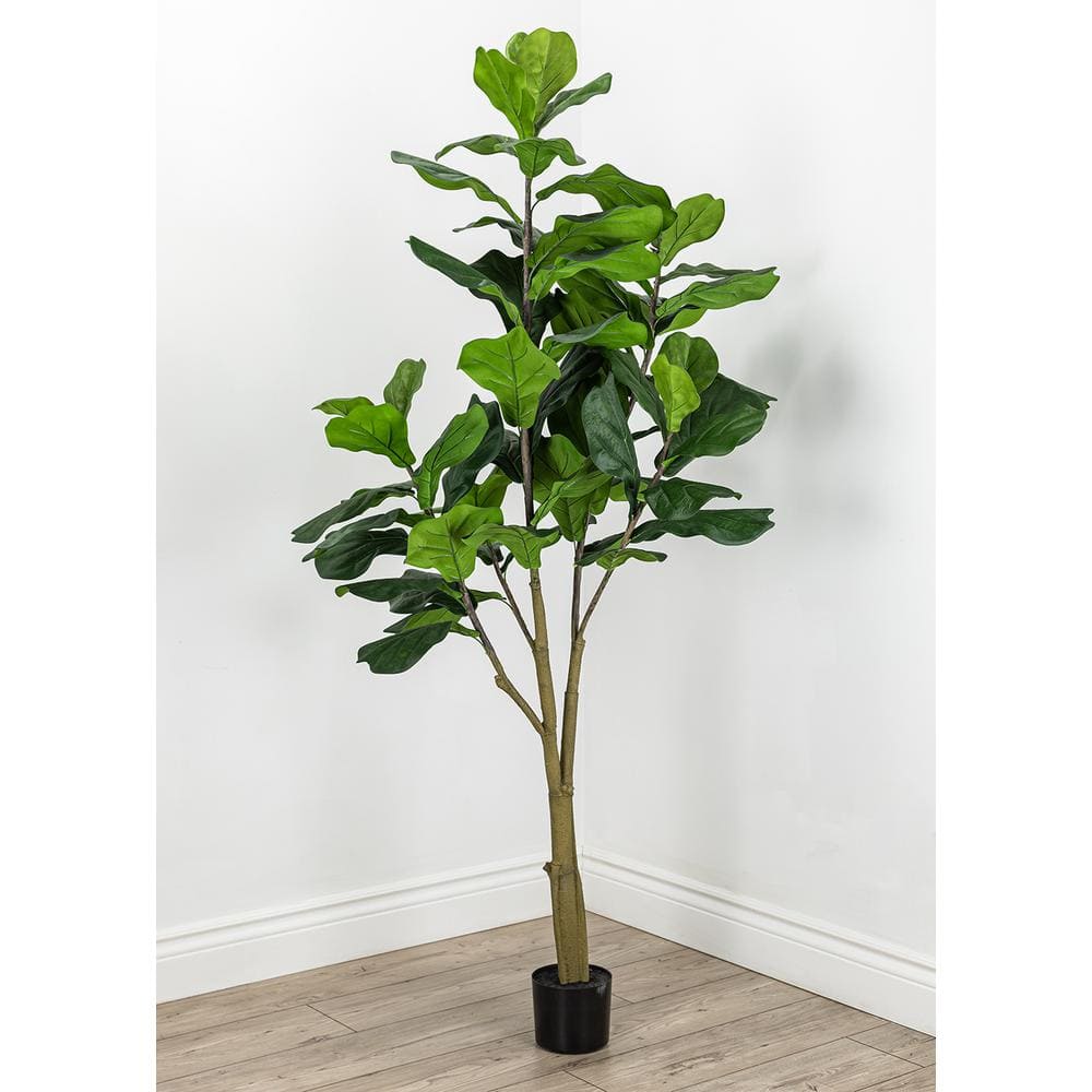 Botanical 6 .3 Ft. Green Artificial Fiddle Leaf Fig Tree In Pot L2095 