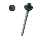 Hex Head Screws in Green