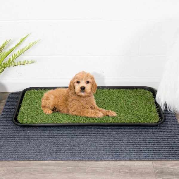 Dog Food Mat - Dog Feeding Mats for Food and Water - 36 X 24 Extra Large  Cat D