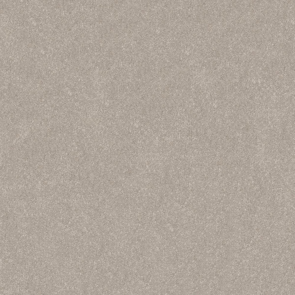 Lifeproof Blakely II - Beluga-Beige 12 ft. 52 oz. High Performance Polyester Texture Installed Carpet