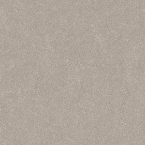 Blakely II - Beluga-Beige 15 ft. 52 oz. High Performance Polyester Texture Installed Carpet