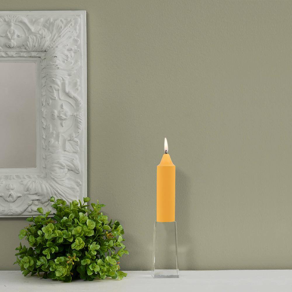 Smooth Collenette 5 in. Butterscotch Unscented Taper Candle (Set of 8) price history on PriceWatchPro