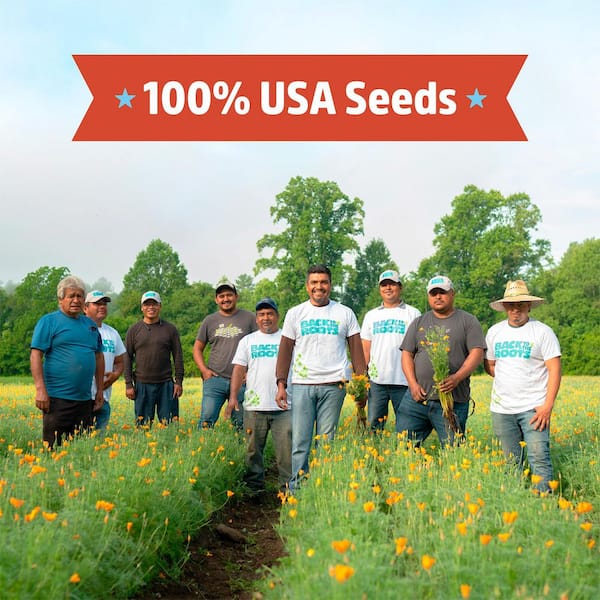Organic Marketmore 76 Cucumber Seed (1-Pack)