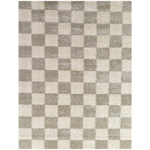 Harley Beige 7 ft. 10 in. x 9 ft. 10 in. Checkered Area Rug