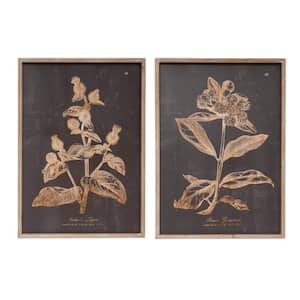 2 Piece Framed Botanical Art Print 28 in. x 20 in.