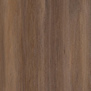 Take Home Sample -Tanglewood Oak Click Lock Waterproof Luxury Luxury Vinyl Plank Flooring