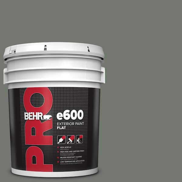 BEHR PRO 5 gal. #T17-13 In the Woods Flat Exterior Paint
