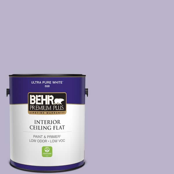 1 gal. #S570-3 Bohemianism Ceiling Flat Interior Paint