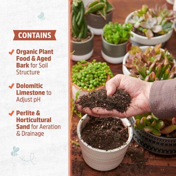 Back to the Roots 6-Quart Organic Succulent Mix Soil (8-pack