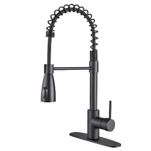 Matte Black - Pull Out Kitchen Faucets - Kitchen Faucets - The Home Depot